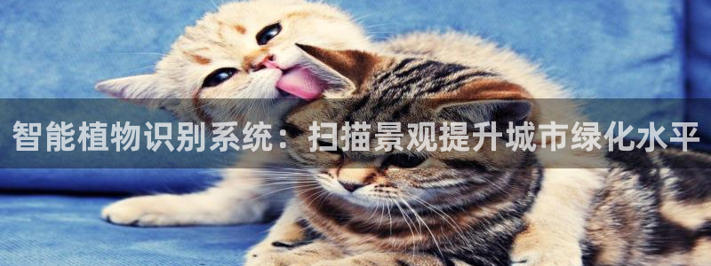 新宝gg主管