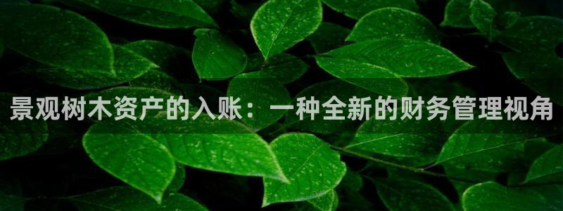 新宝gg技术
