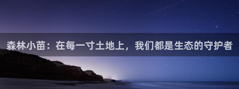 认准新宝gg