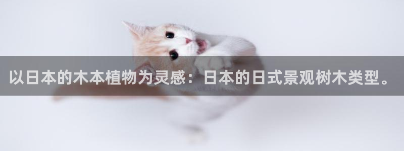 新宝gg刷流水