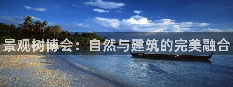 新宝gg 登录页面
