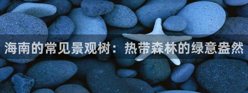 新宝gg主管111