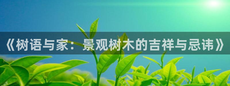 新宝gg娱乐客户端下载