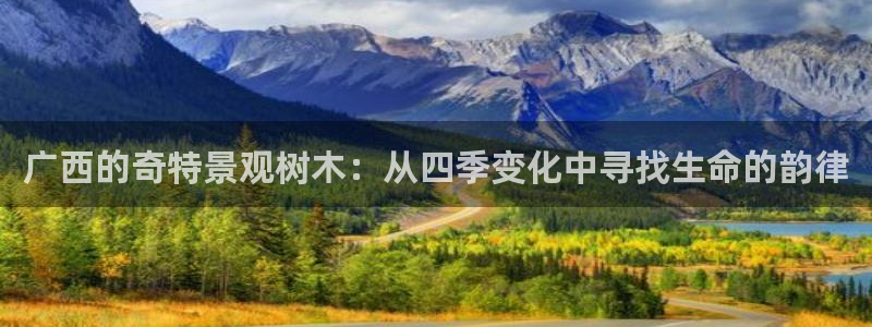 新宝gg龙虎
