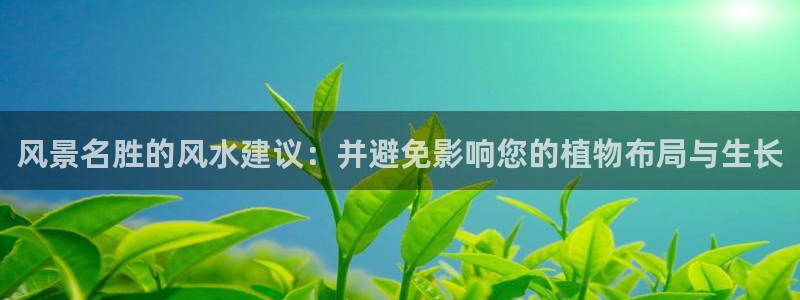 下载新宝gg