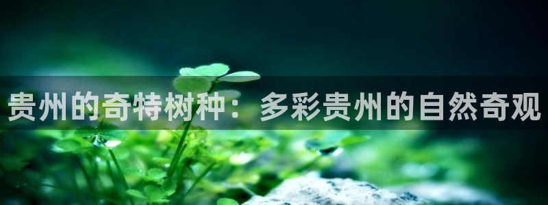 新宝gg登陆新