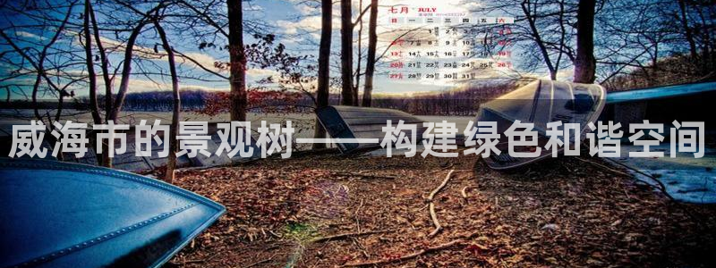 新宝gg高频彩票