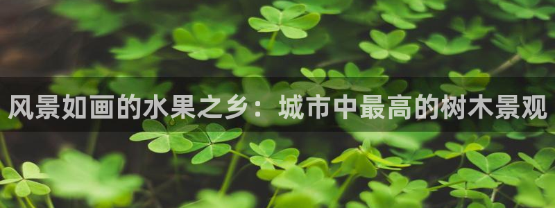 新宝-gg