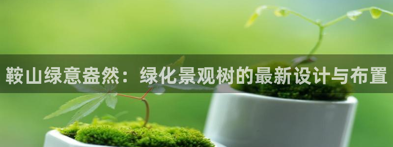 下载新宝gg怎么下载