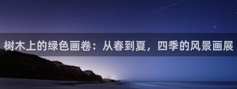 新宝GG桌面