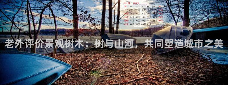 新宝gg--创