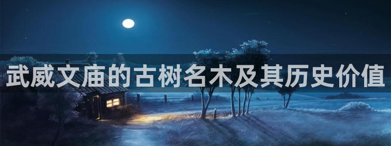 新宝太阳 gg