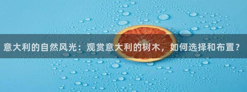 新宝gg开户流程
