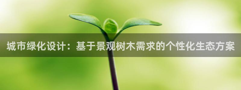 新宝gg平台开发