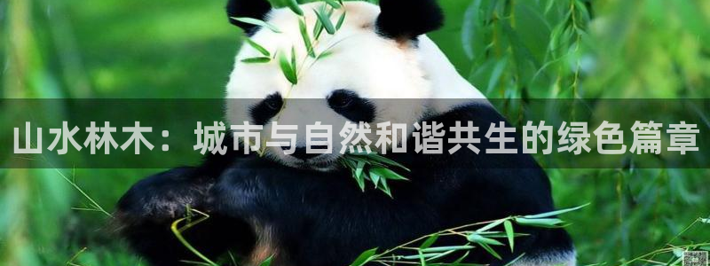 新宝gg下载官网下载