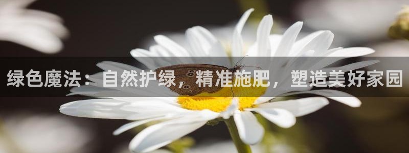 新宝gg主页