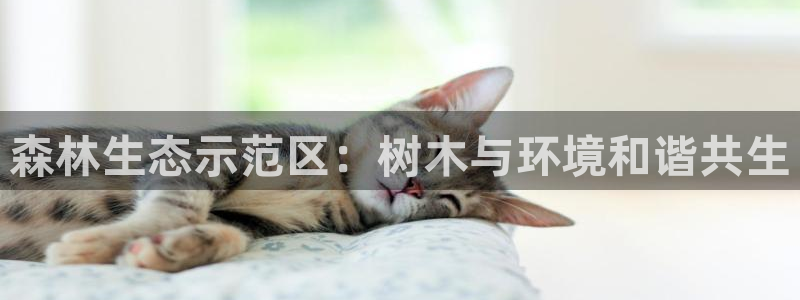 新宝GG创业奇迹