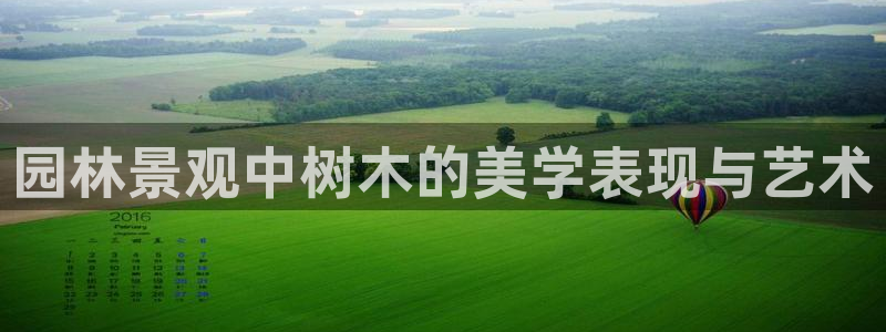 新宝gg在哪开户