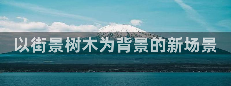 新宝gg画