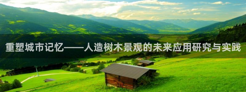 新宝gg奇迹