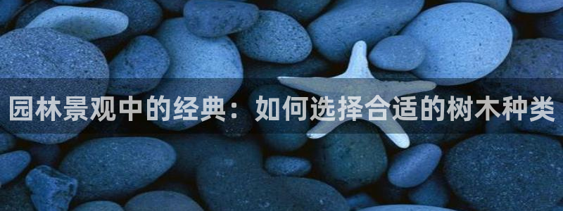 新宝gg计划