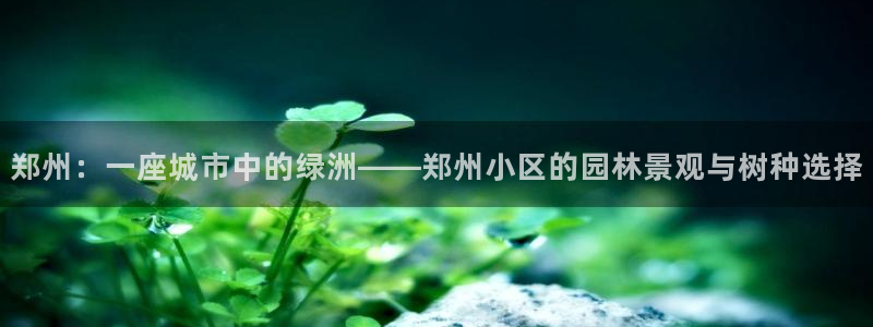 新宝gg首页平台