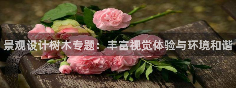 新宝gg 创