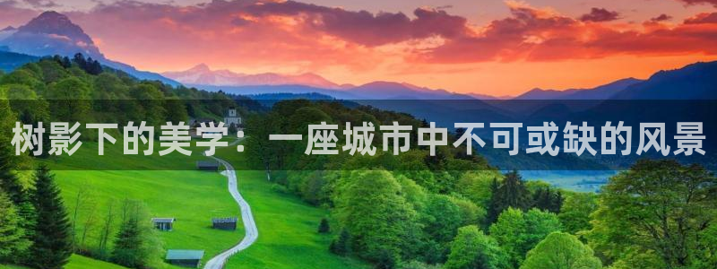 新宝gg试玩：树影下的美学：一座城市中不可或缺的风景