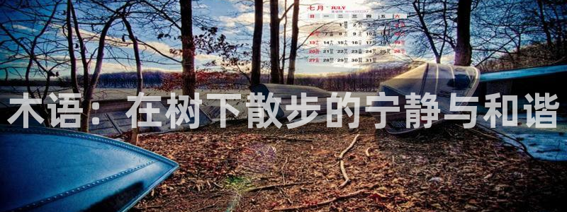 新宝注册gg平台：木语：在树下散步的宁静与和谐
