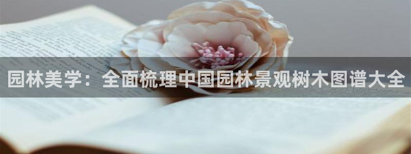 新宝gg 网址
