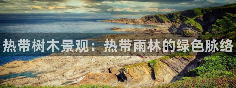新宝gg娱乐平台