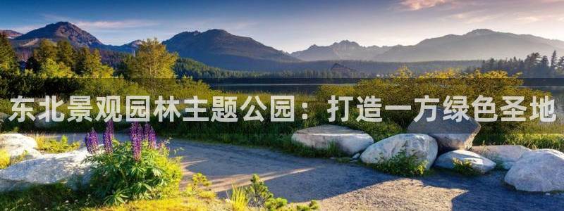 新宝gg — 创造!