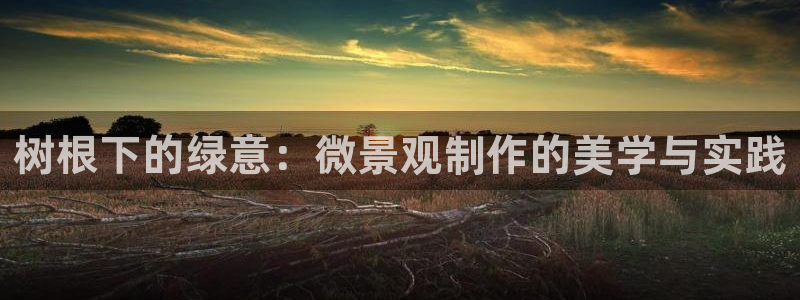 新宝GG最高返点多少