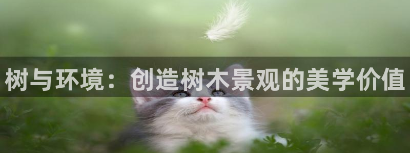 新宝 gg 登