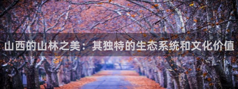 新宝gg下载官网下载