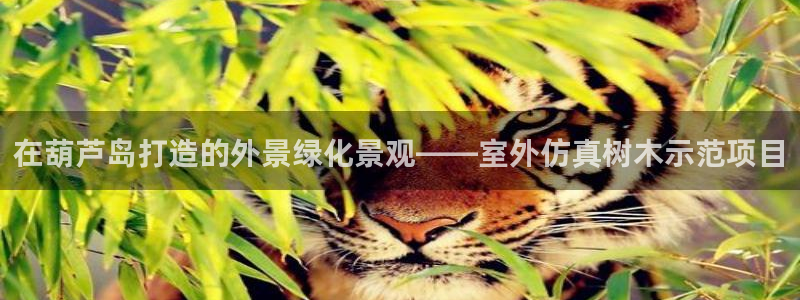 新宝gg评论：在葫芦岛打造的外景绿化景观——室外仿真树木示范项目