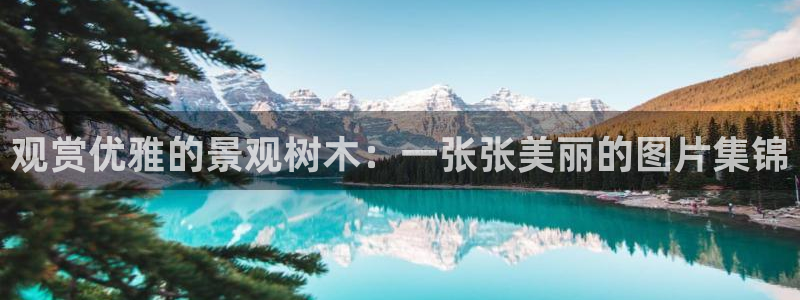 新宝gg如何赚钱