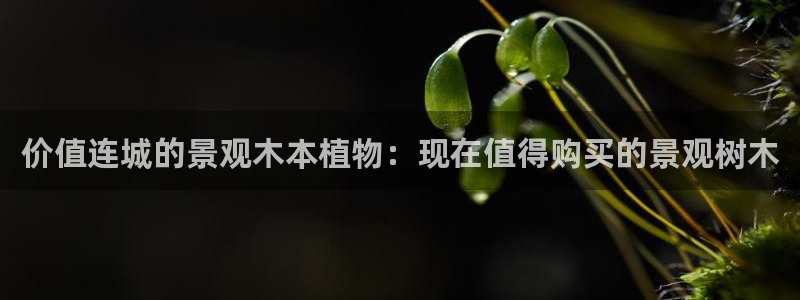 新宝gg博彩