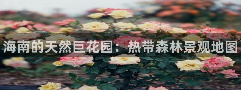 怎么代理新宝gg