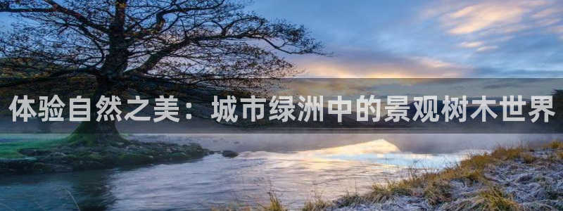 新宝gg娱乐客户端下载