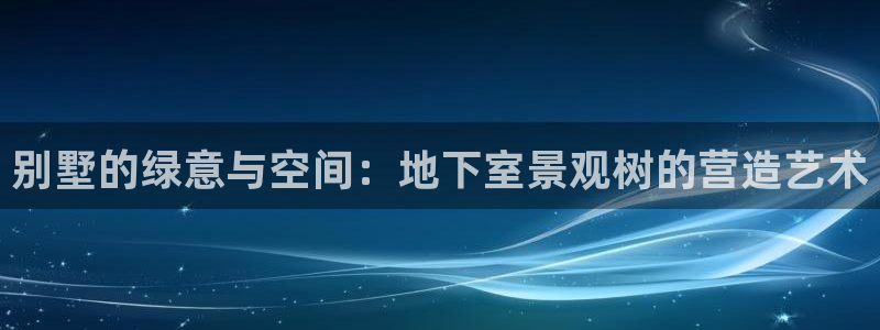 新宝GG都有哪些计划