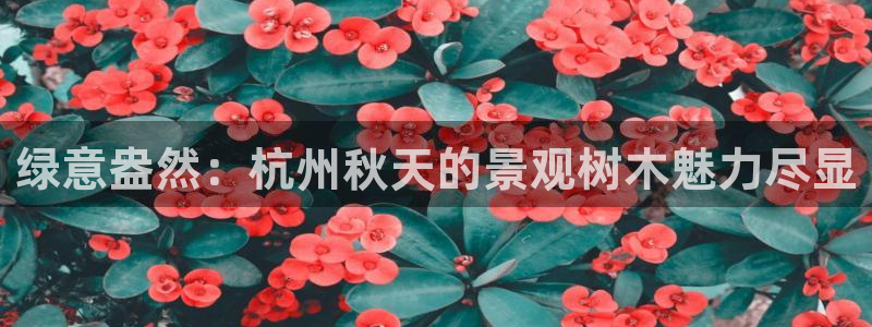 新宝gg主管都是谁：绿意盎然：杭州秋天的景观树木魅力尽显