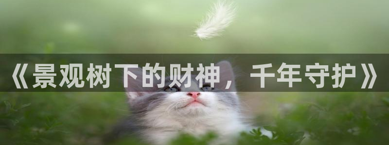 新宝gg游戏平台