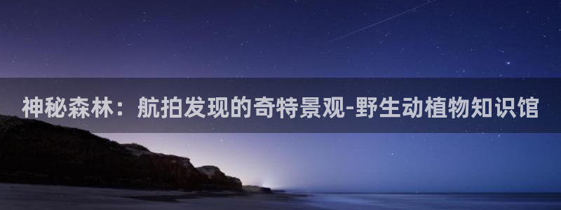 新宝gg创