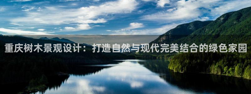 新宝gg主页
