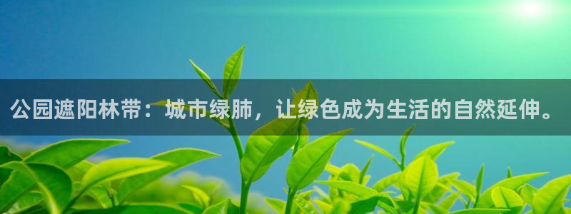 下载新宝gg