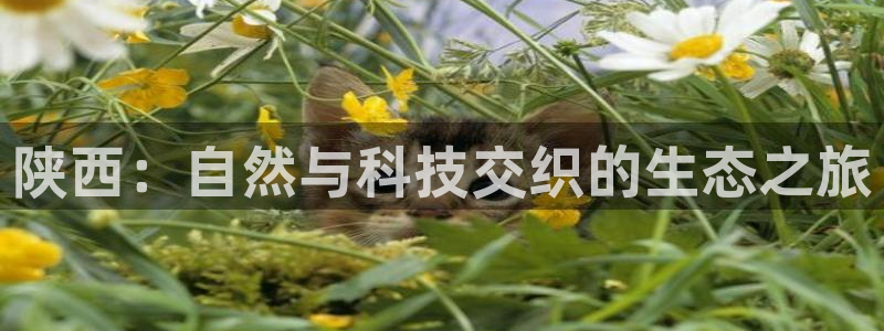 新宝gg开奖结果