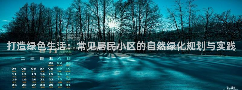 新宝gg-创业奇迹