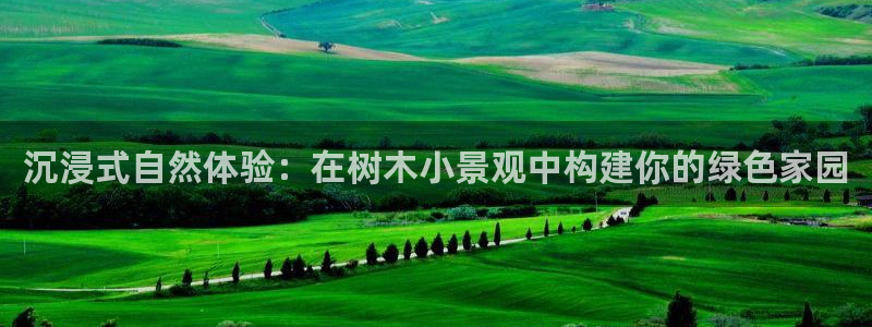 新宝gg娱乐主管q42873