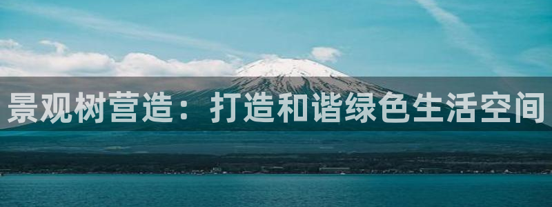 新宝GG官方域名